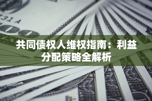 济南共同债权人维权指南:利益分配策略全解析 济南共同债权人维权指南:利益分配策略全解析